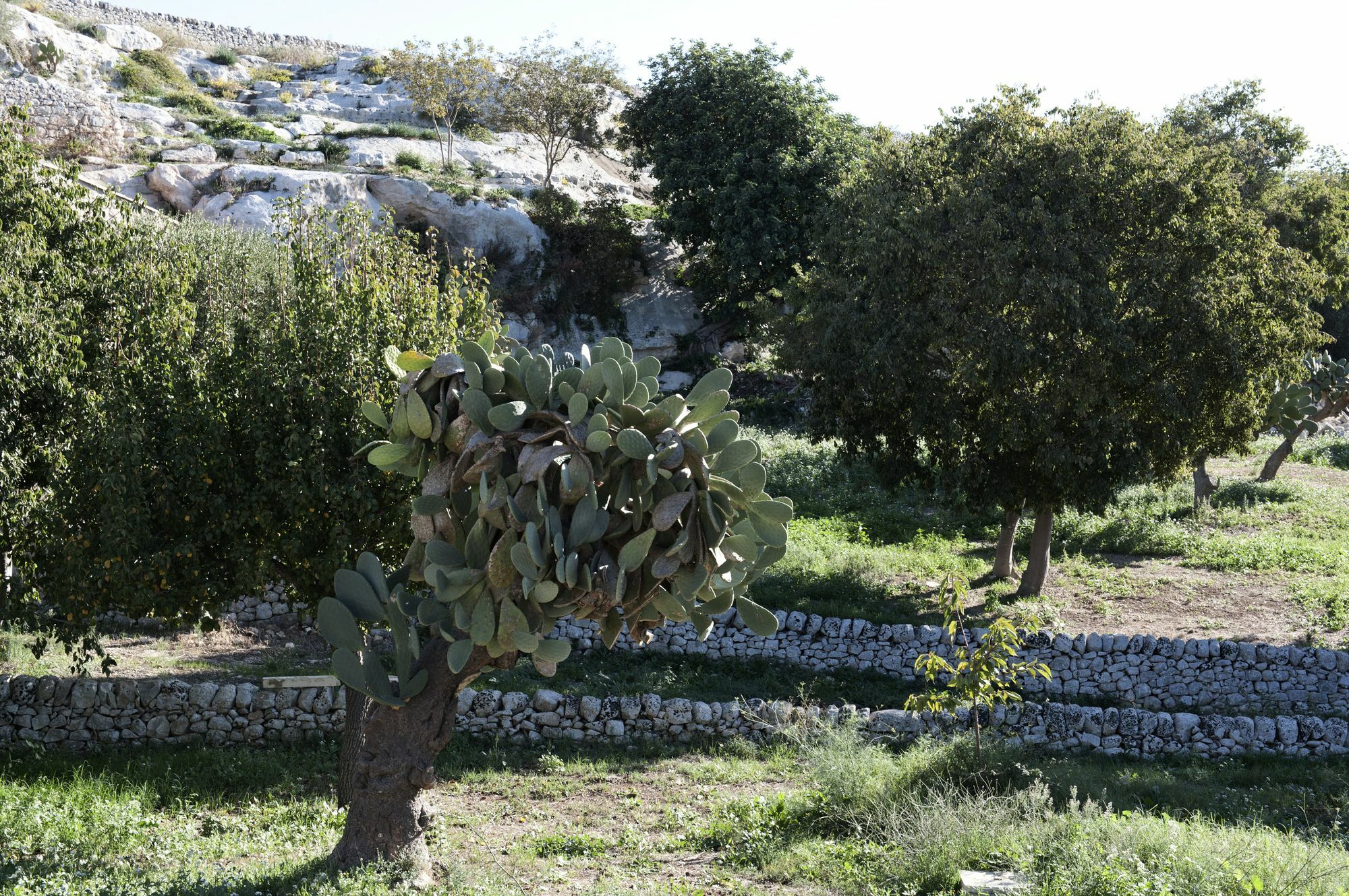 Valle Dell'Acanto โมดิกา ภายนอก รูปภาพ
