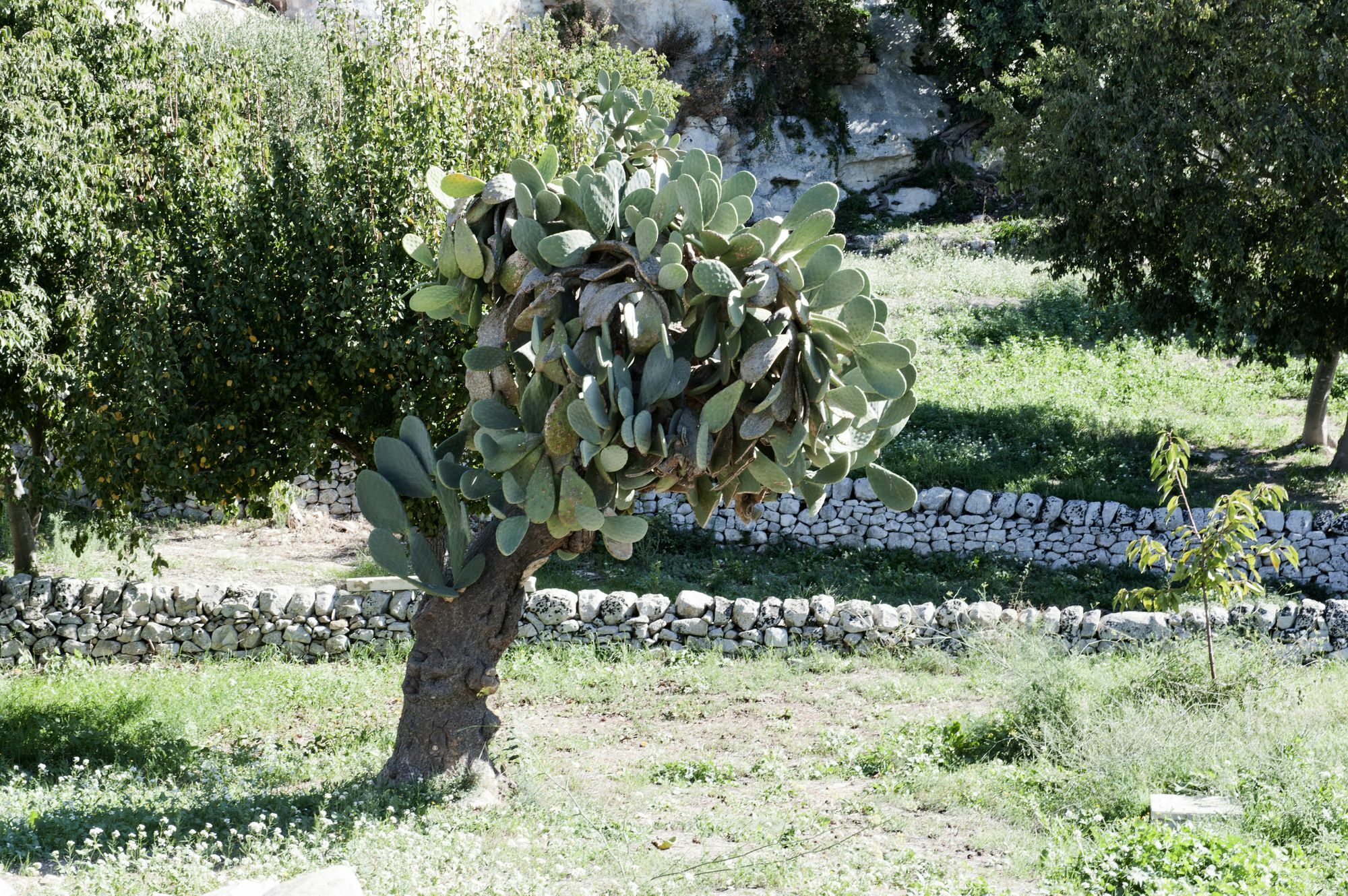 Valle Dell'Acanto โมดิกา ภายนอก รูปภาพ